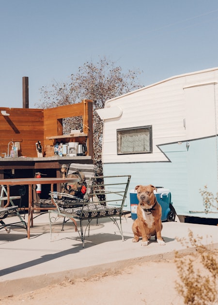 Financing Options for Mobile Homes
